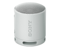 Sony SRS-XB100 Szary - 1169973 - zdjęcie 1